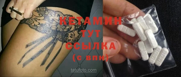 стаф Верея
