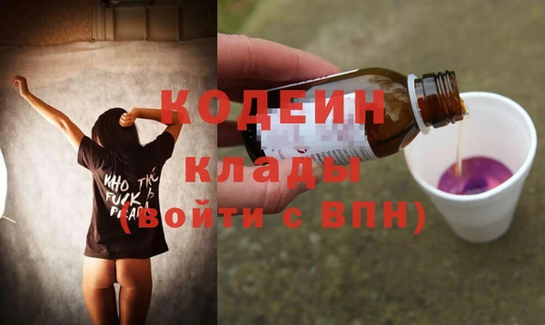 стаф Верея