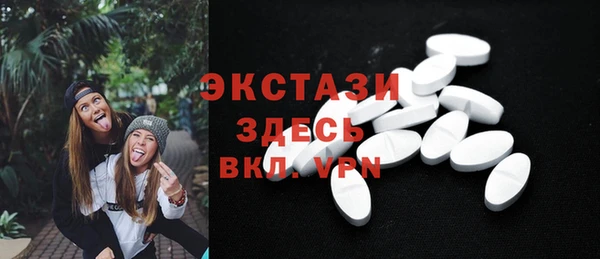 стаф Верея