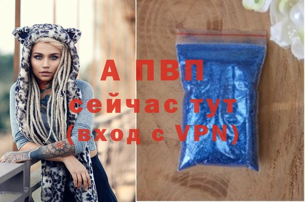 стаф Верея