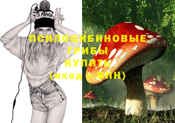 мет Верхний Тагил