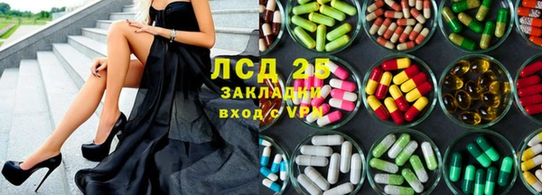 стаф Верея