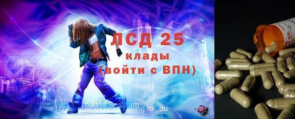 стаф Верея