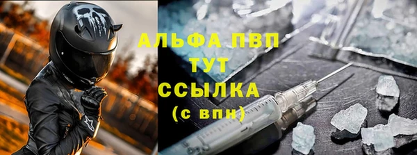 стаф Верея