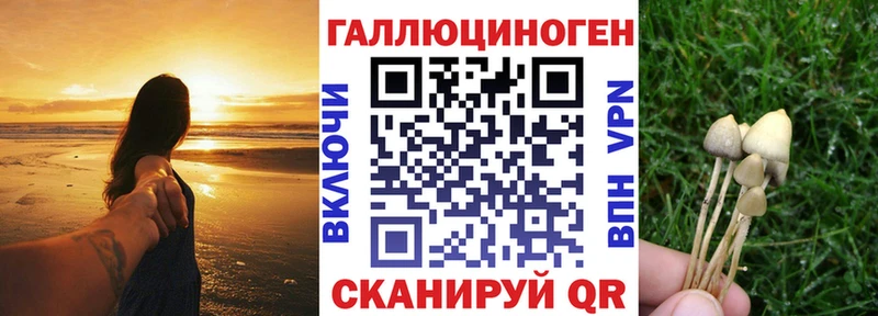 Псилоцибиновые грибы Cubensis  купить наркоту  Вяземский 